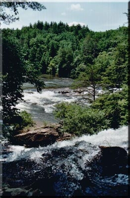 Chattooga River