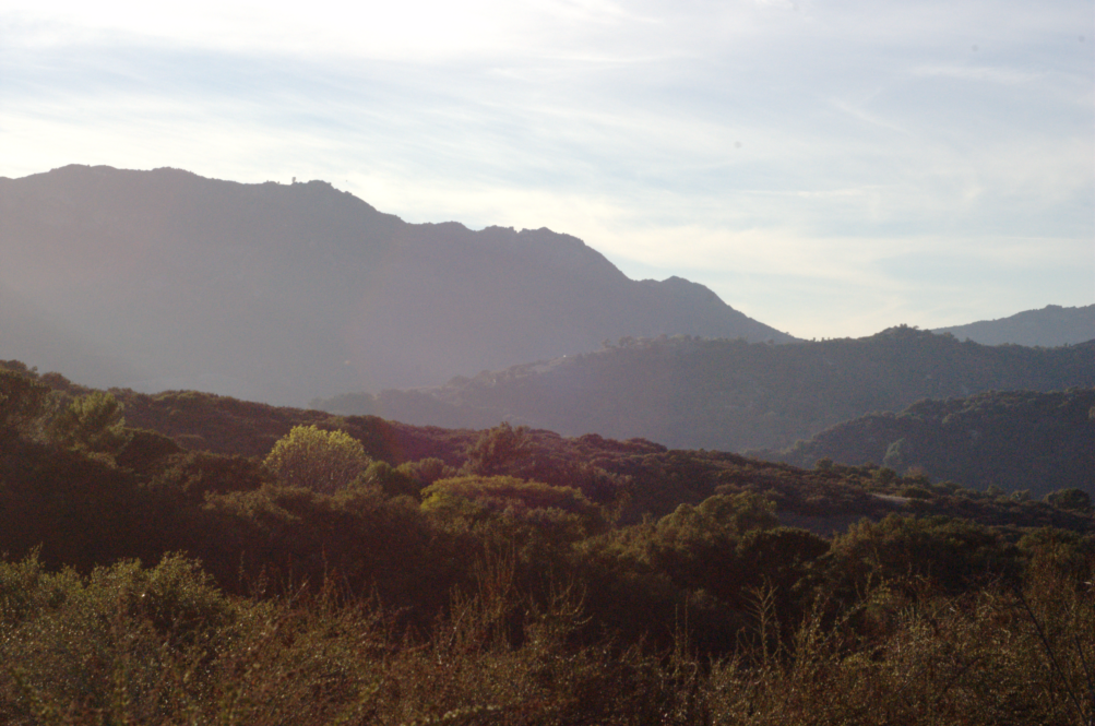 Topanga