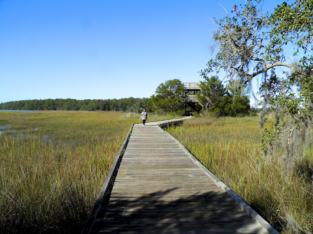 Skidaway Island