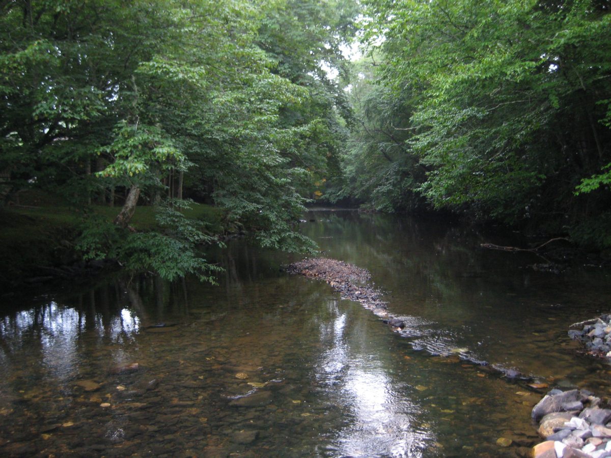 Linville