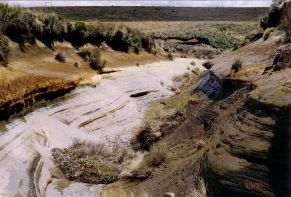 Rangipo Desert