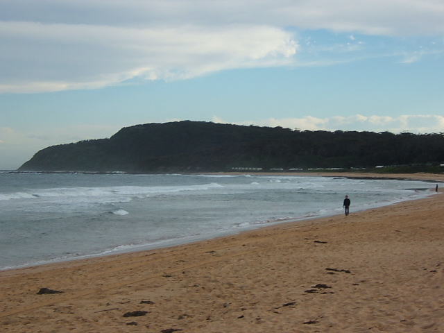Shelly Beach