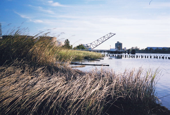 Cape Fear River
