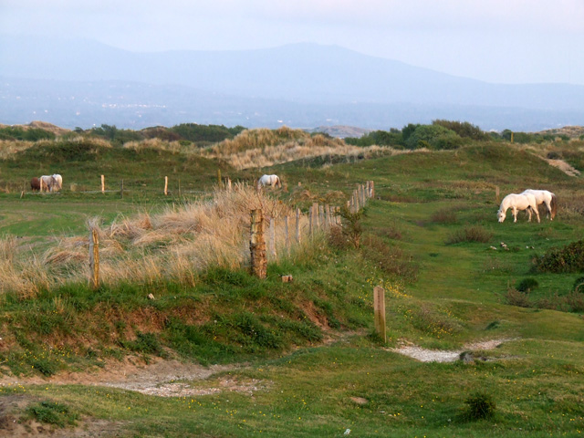 Newborough Warren