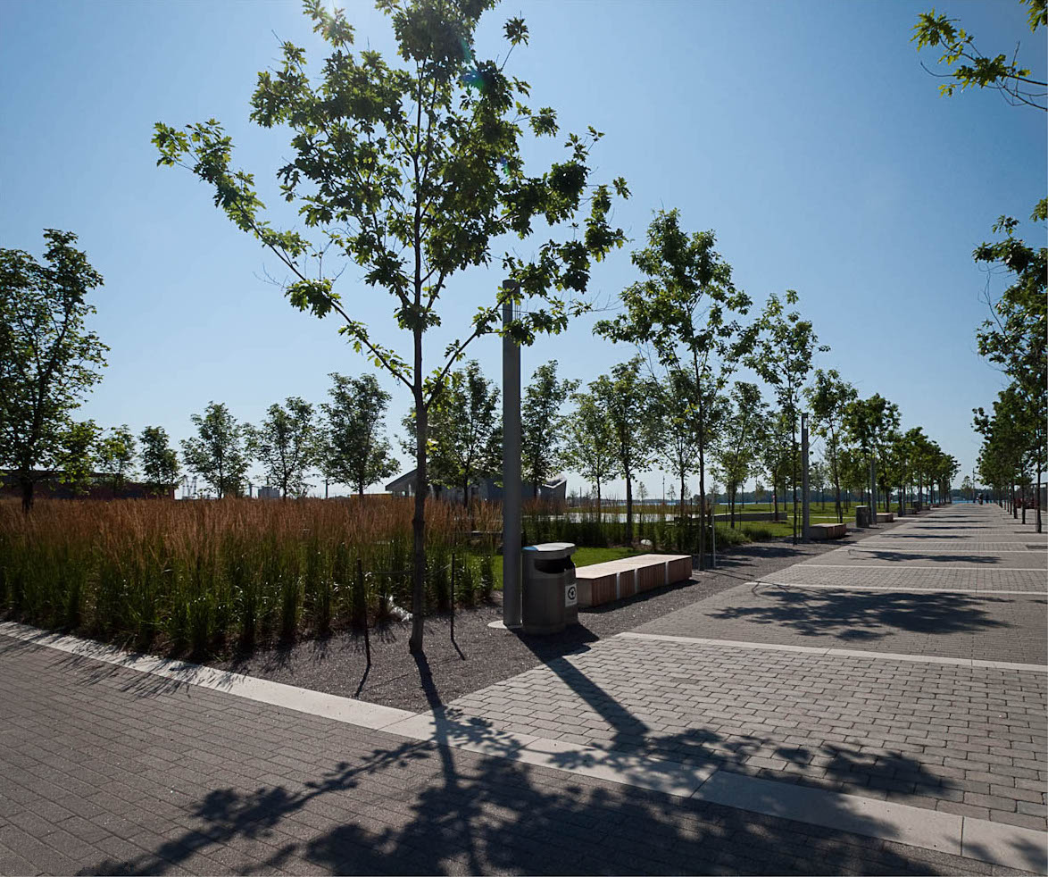 Sherbourne Common