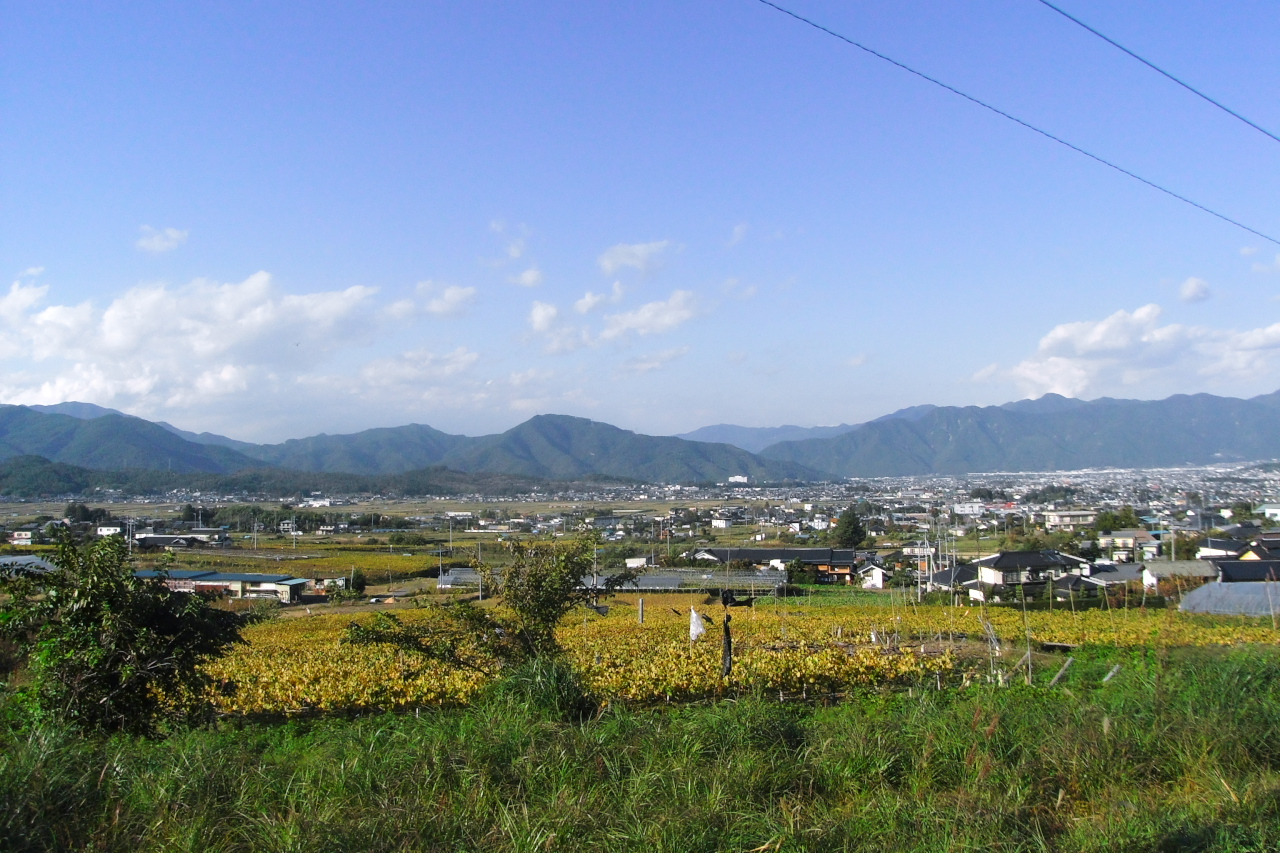 Ueda