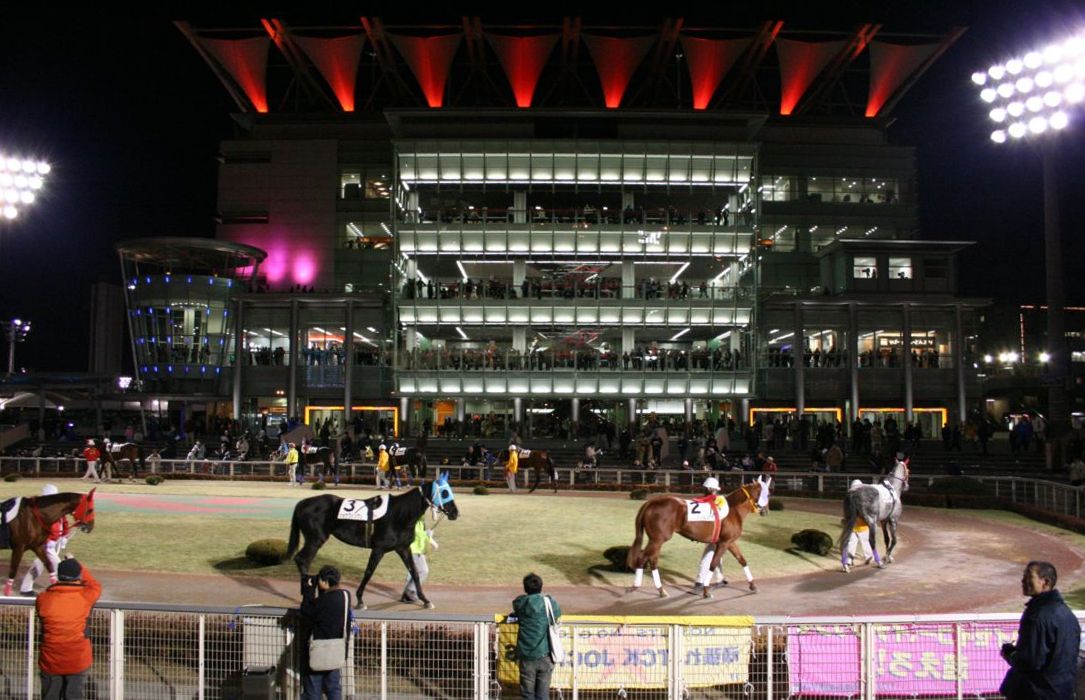 Ohi Racecourse