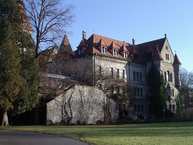 Stein