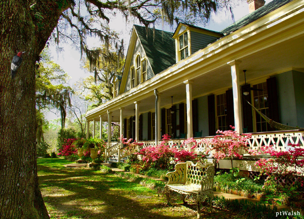 St. Francisville