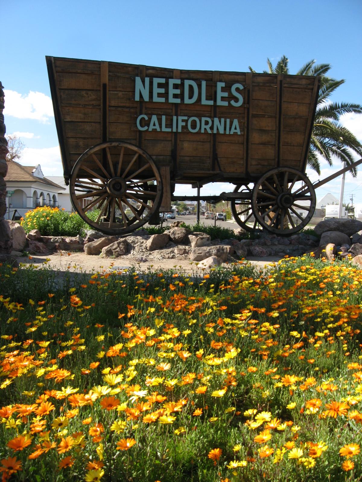Needles