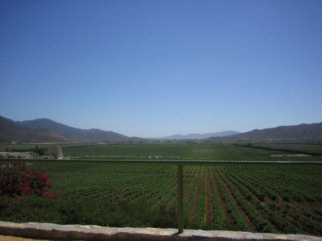 Guadalupe, Baja California