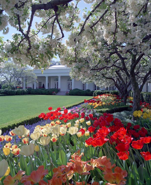 White House Rose Garden