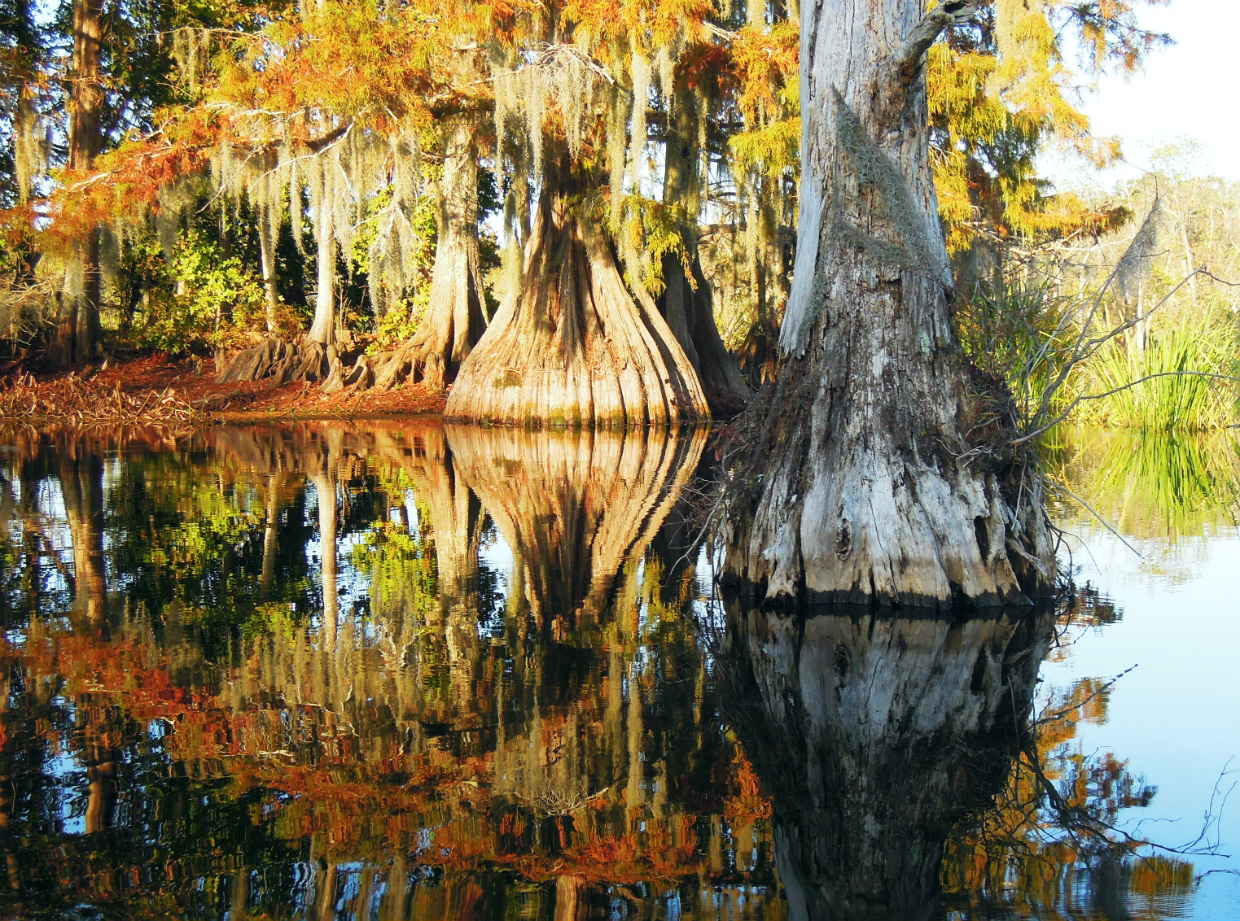 Chicot State Park