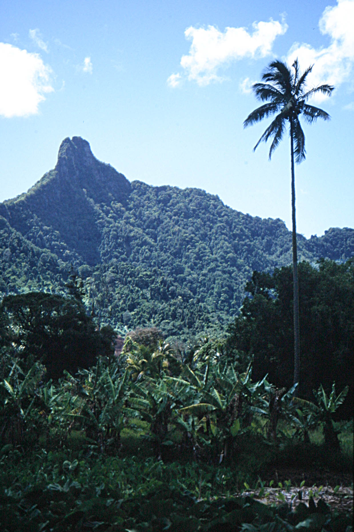 Rarotonga