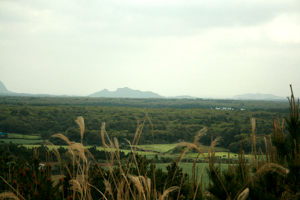 Jeju Island