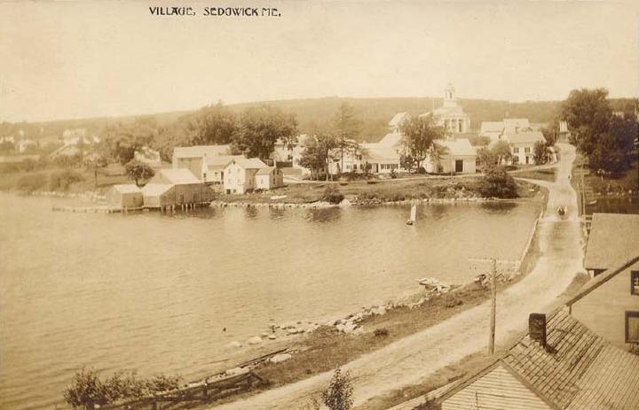 Sedgwick