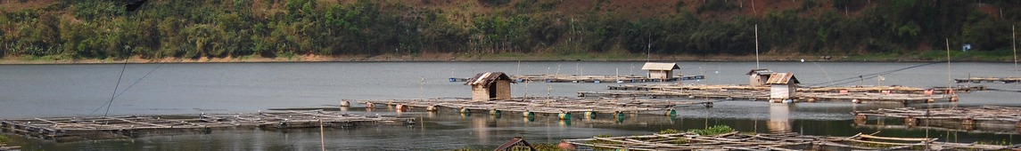 Lumajang