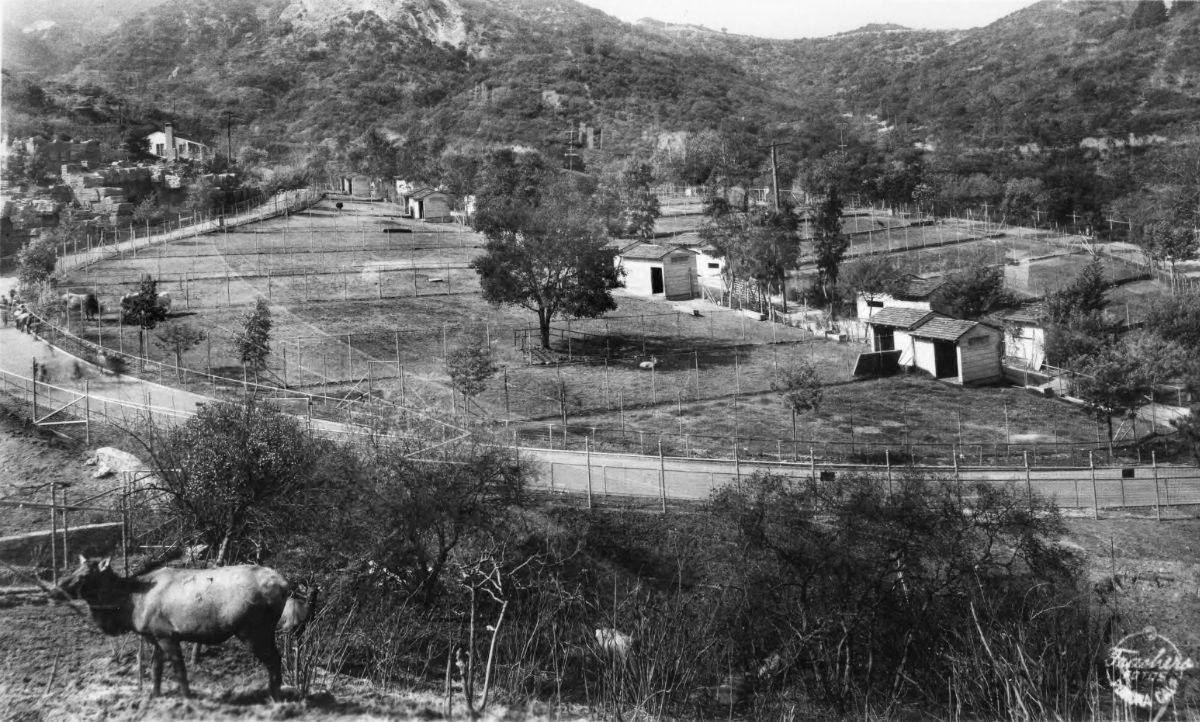 Griffith Park Zoo