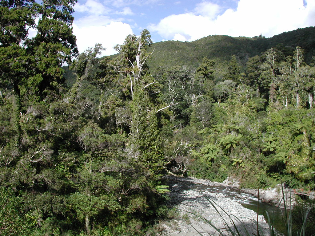Kaitoke Regional Park