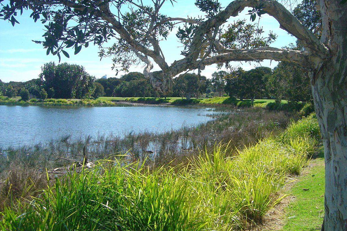 Centennial Park
