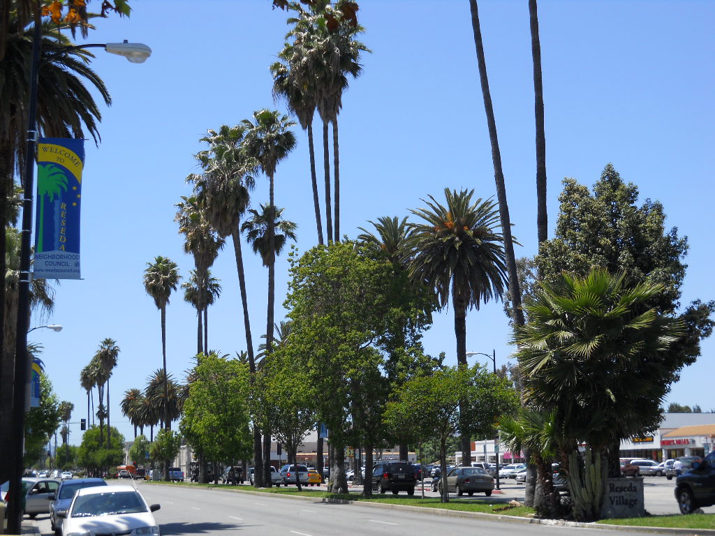 Reseda