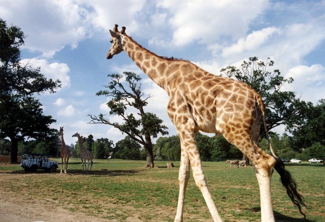 Windsor Safari Park