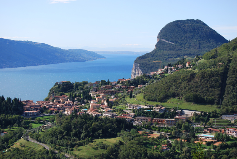 Tremosine
