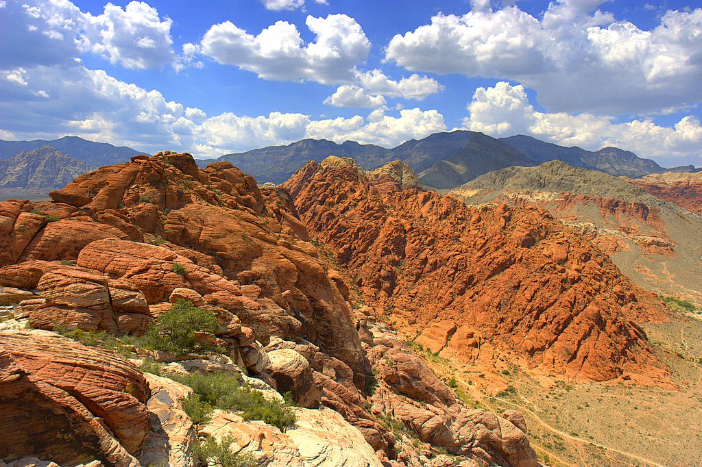 Mojave Desert