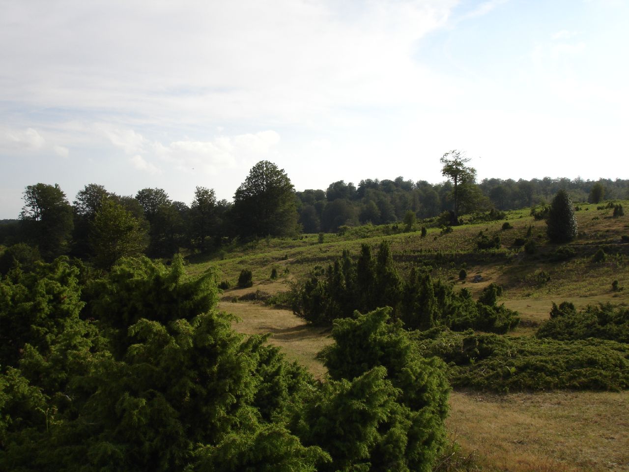 Urbasa mountain range