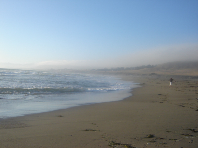 Bodega Bay