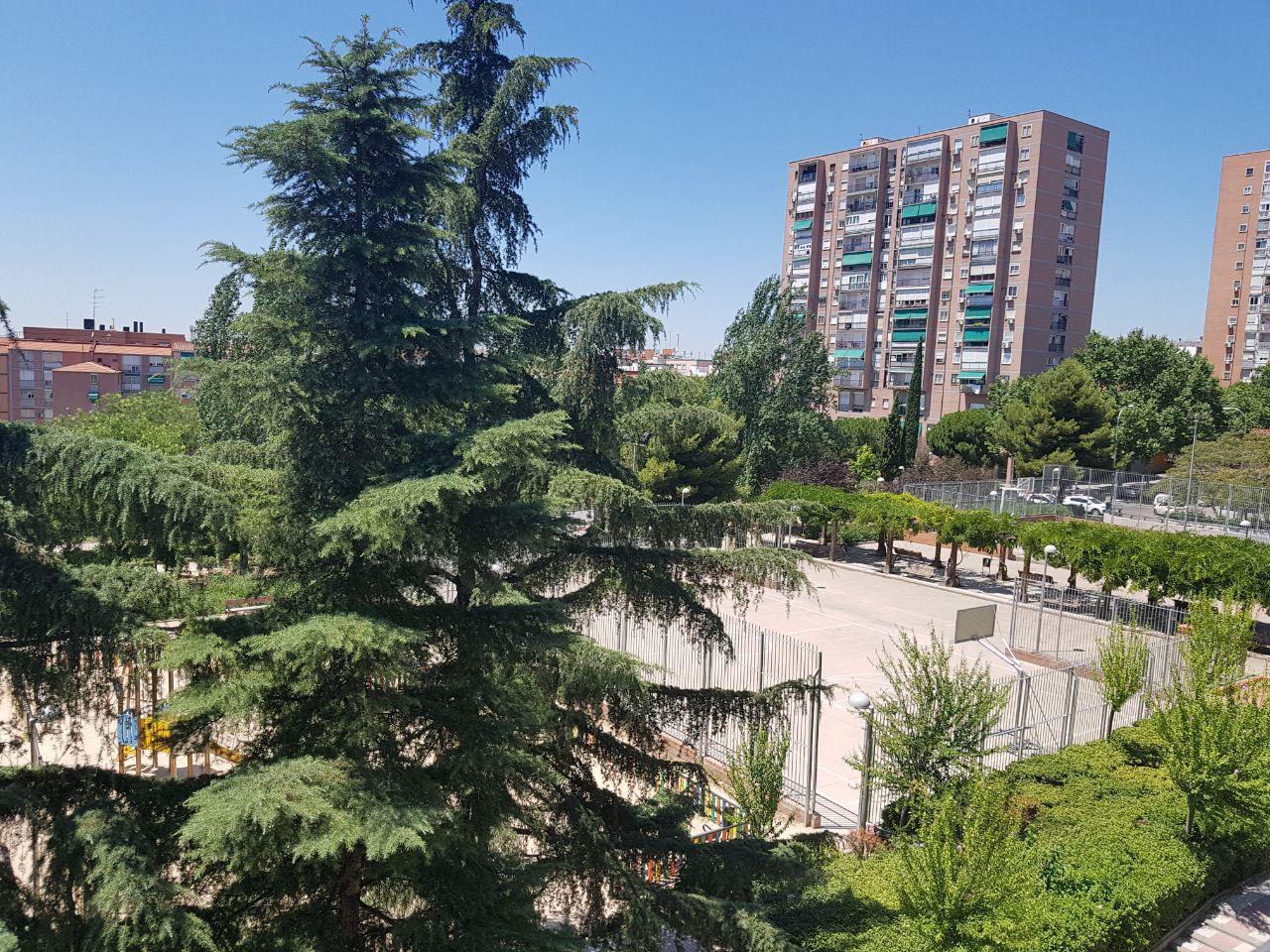 Pueblo Nuevo