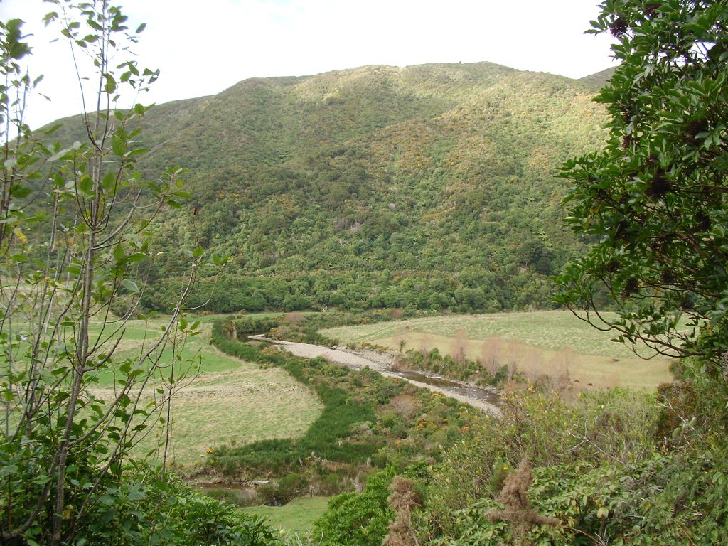 Mangaroa