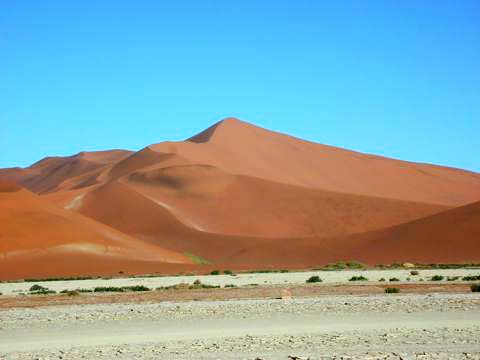 dune 7