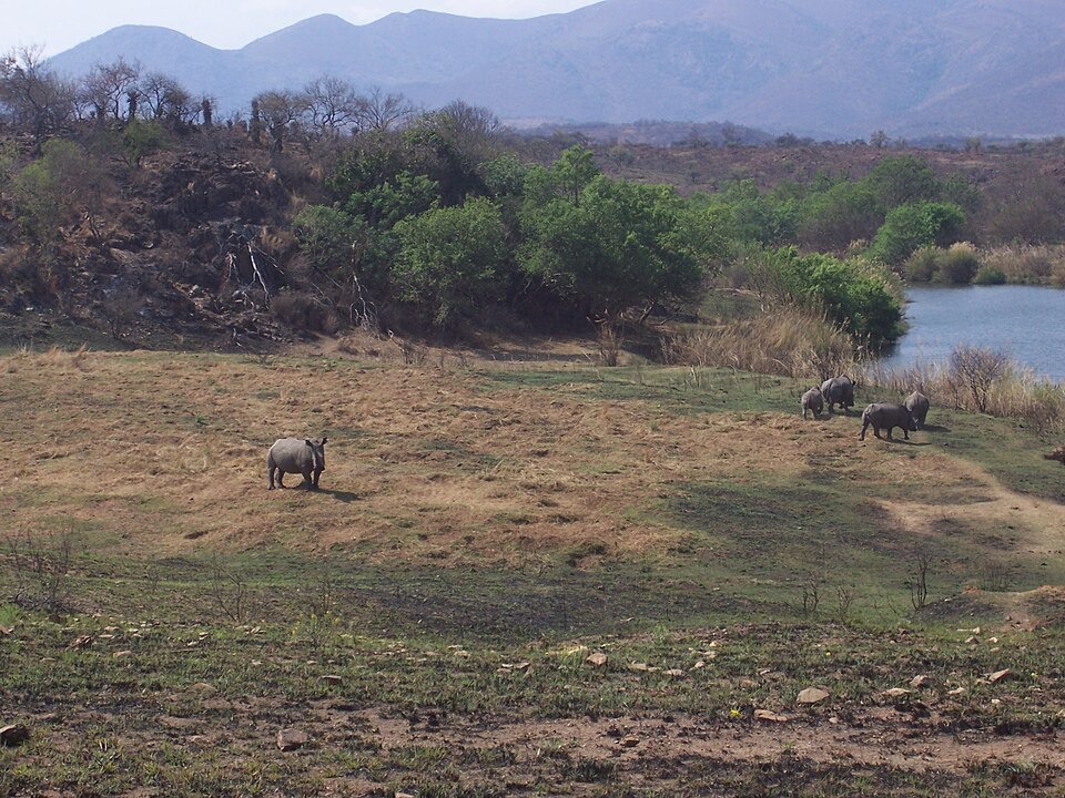 Songimvelo Game Reserve