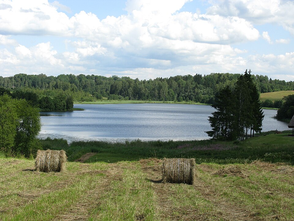 Vidrike