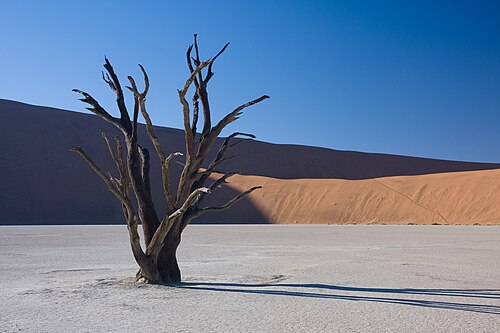 Deadvlei