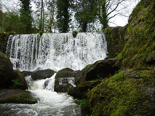 Cerceda