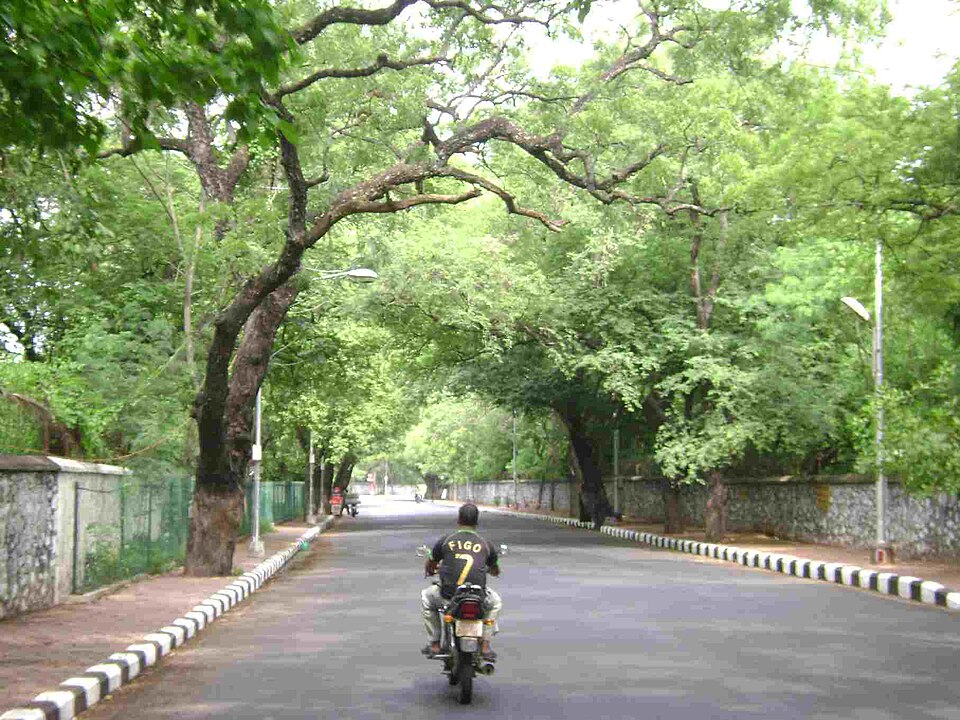 Besant Nagar