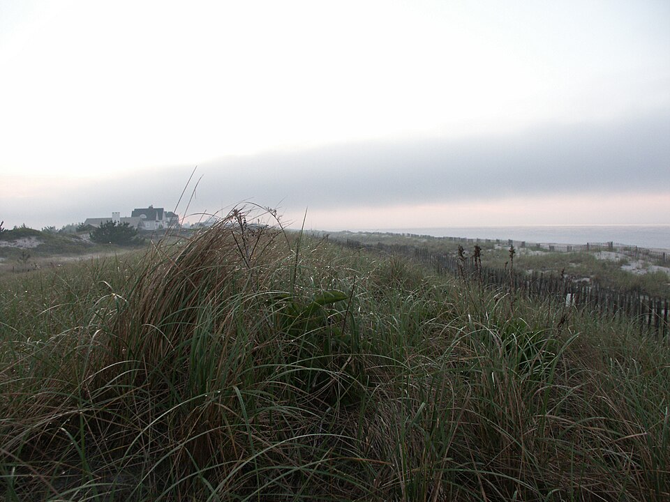 Quogue