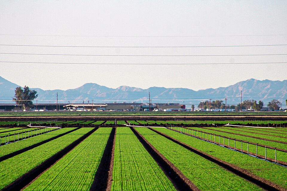 Imperial Valley