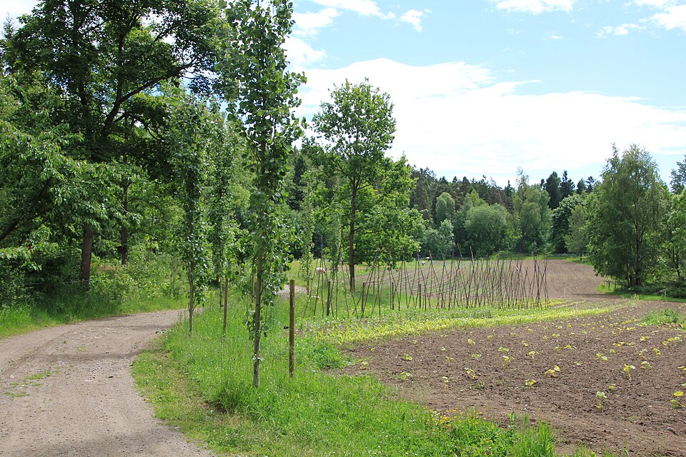 Ramme Gaard