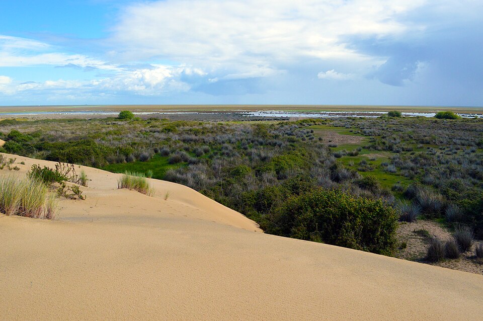 Doñana National Park