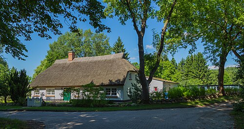Krakvitz