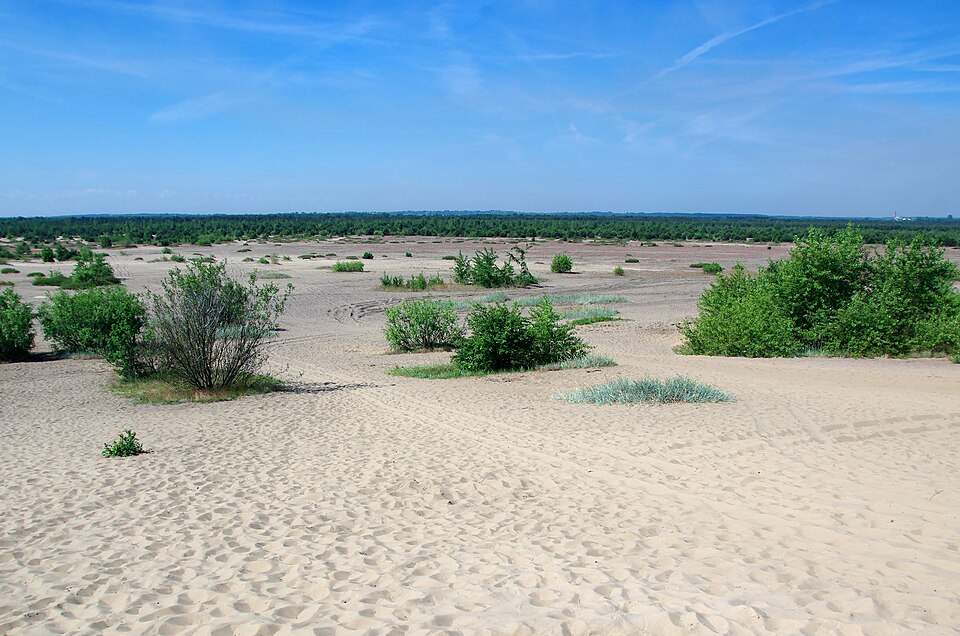 Błędów Desert