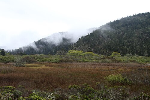 Big Basin Redwoods State Park