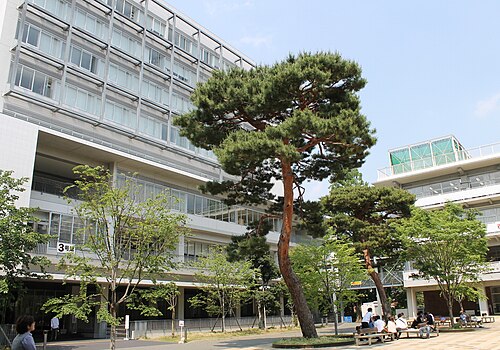 Seijo University