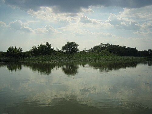Great Hungarian Plain