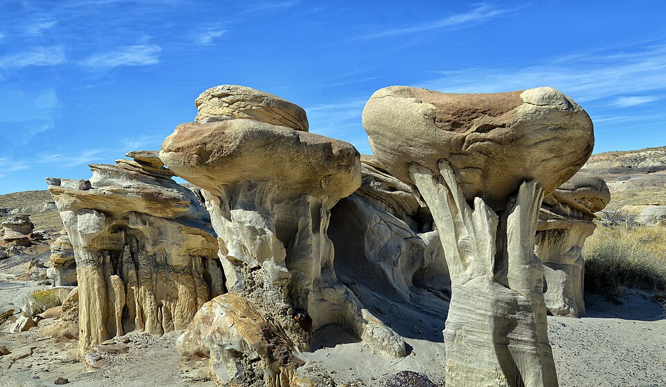 Bisti/De-Na-Zin Wilderness