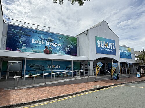 Sea Life Sunshine Coast