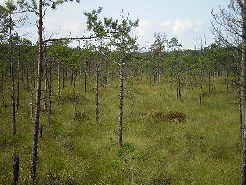 Biarezinski Biosphere Reserve